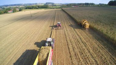 Maisernte mit Mähdrescher, Traktor mit BioChipper bei der Ernte von Feldresten, Traktor mit Anhänger für den Abtransport von Feldresten
