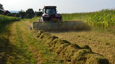 BioChipper bei der Ernte von Grasresten neben einem Maisfeld